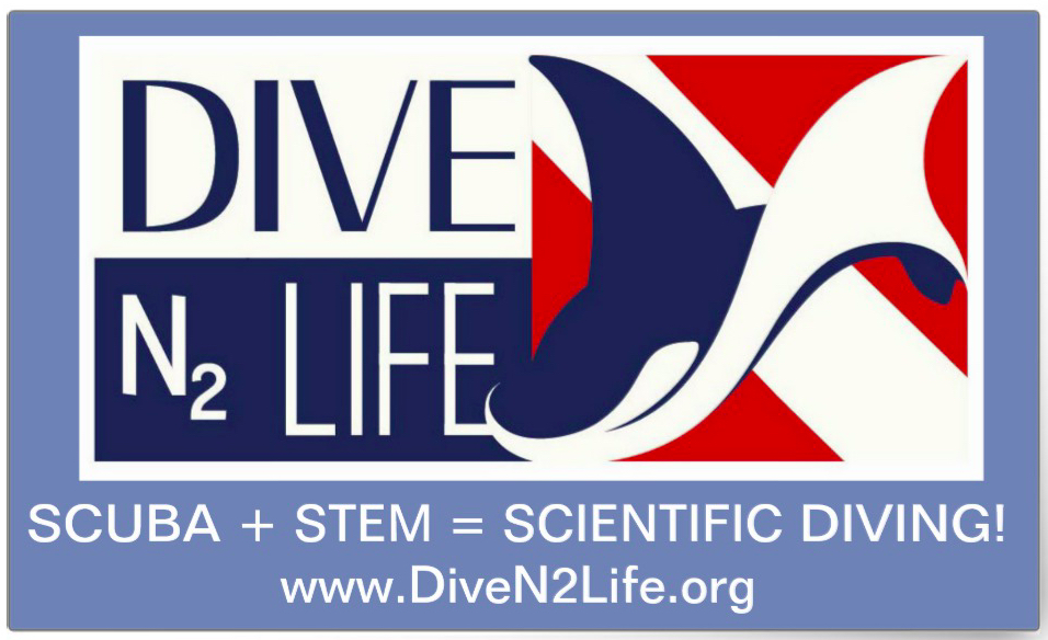 DiveN2Life Stem